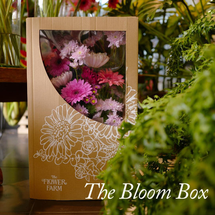 The bloom box