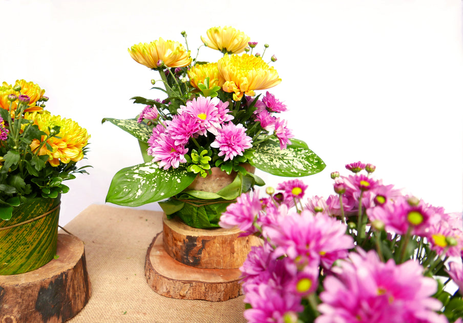 Home Floral Bundles – The Flower Farm Corporation