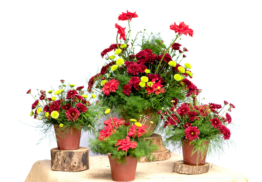 Home Floral Bundles – The Flower Farm Corporation